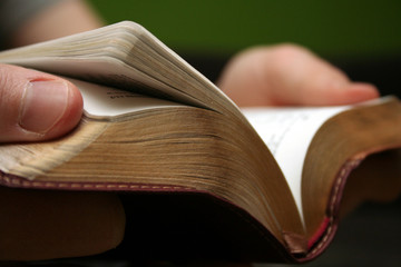 Wall Mural - young man reading small bible