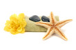 canvas print picture - spa towel, rocks, flower and starfish