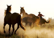Leinwandbild Motiv wrangler herding wild horses