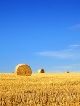 Field With Bales Of Hay