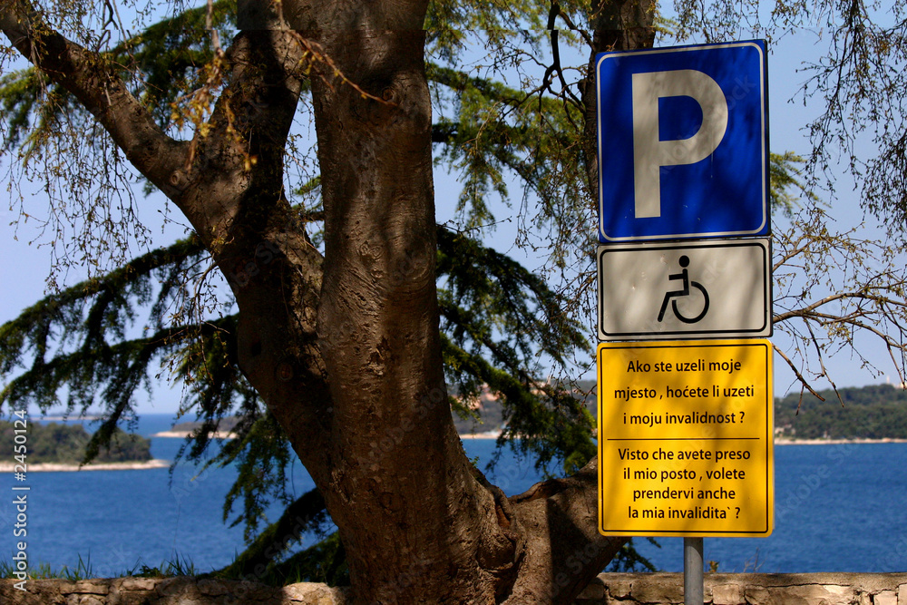 Cartello Alluminio Con Rifrangente Classe 1 Cm 45x30 P PARCHEGGIO Disabili 0372 - Foto 8