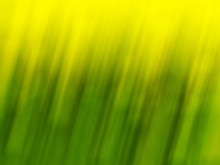 Abstract Spring Background