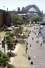 Wall Mural - sydney harbour bridge