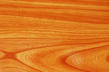 Wall Mural - texture of red wood to serve as background