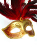 feathered fancy dress mask