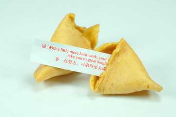 fortune cookies 4