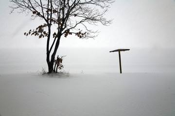 snowfall at isolated beach