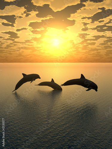 Plakat delfin żółty zachód słońca 2