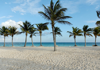 Canvas Print - plage du barcelo