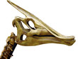 skull of the dinosaur