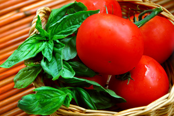 Canvas Print - tomatoes and basil