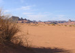 paysage du sahara