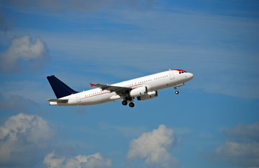 Wall Mural - side view of airbus a-319