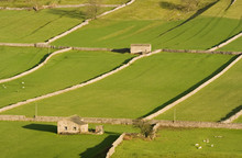 Hay Meadows In Rural Yorkshire