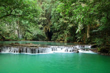 Jungle Lagoon, Green Water, Thailand