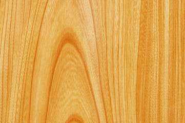 Wall Mural - texture of wooden surface - can be used as background