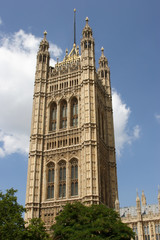 Wall Mural - the houses of parliament