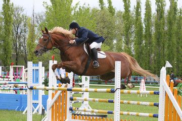 show jumping