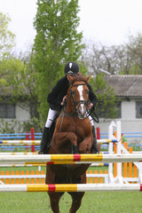 show jumping