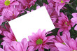 pink flowers and gift card