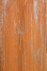 Wall Mural - stained orange wood grain close up