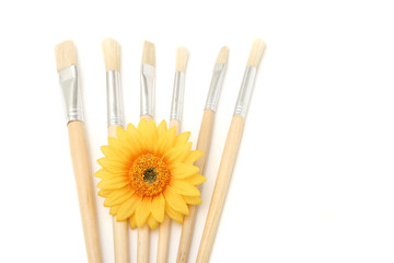 artist's brushes