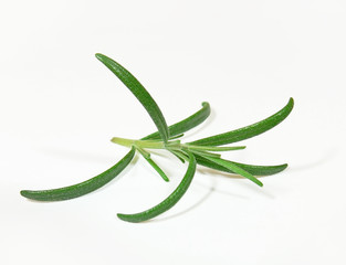 rosemary 2