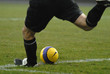 © Victor Pogontsev - the goalkeeper beats out a ball