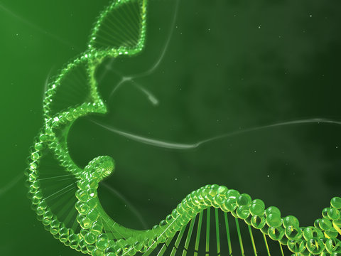 catena dna