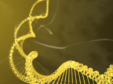 catena dna