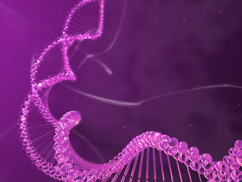 catena dna