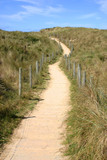 Fototapeta Na ścianę - path to the beach, cornwall, uk