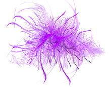 Purple Feather - Fractal Ar
