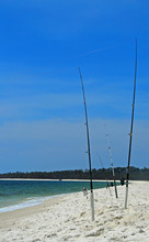 Fishing Poles In Sand
