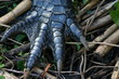 alligator foot detail