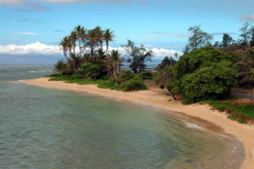 Wall Mural - tropical cove