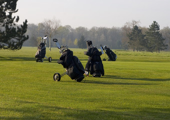 Wall Mural - chariots de golf sur le green