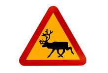 Warning Sign For Reindeers