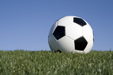 Fototapeta Sport - Soccer Ball