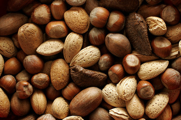 Wall Mural - nutty background