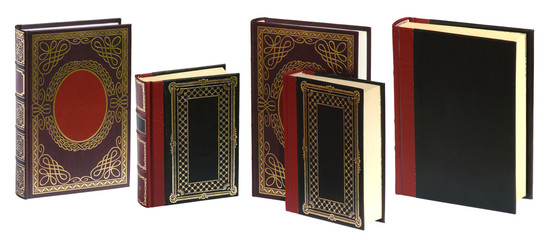 Wall Mural - standing books