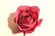 canvas print picture rose