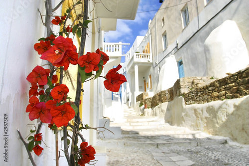 Naklejka uliczka grecka  kwiaty-na-ulicy-mukonos