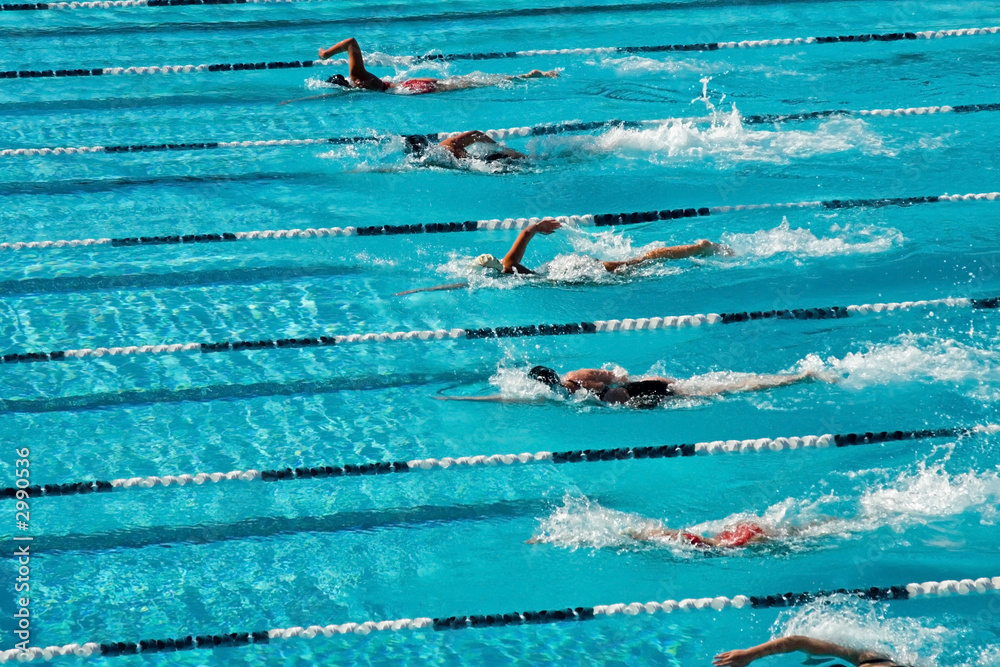 competitive swimming - obrazy, fototapety, plakaty 