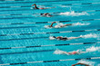 canvas print picture - competitive swimming