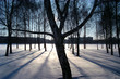 canvas print picture - winter in weissrussland, sonne und schnee