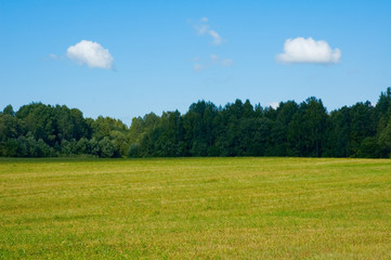 background of green field and blue cloudy sky