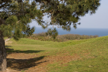 Wall Mural - parcours de golf