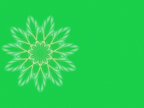 abstract white flower  on green background