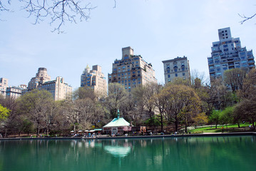 Wall Mural - central park in new york city